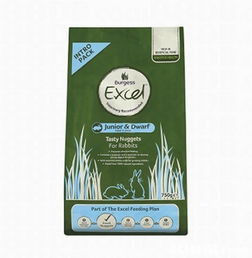 寵物的理想之家 探索pet cafe的多元化寵物服務(wù)