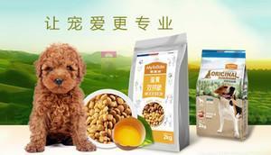 中國十大寵物食品品牌榜中榜 科學(xué)喂養(yǎng)，從選對主糧與零食開始
